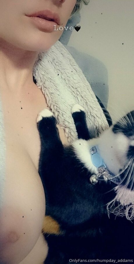 humpday addams nude actress photos