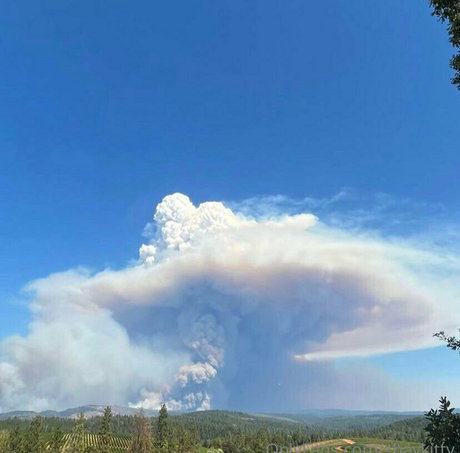 shaykitty pornstar adult image