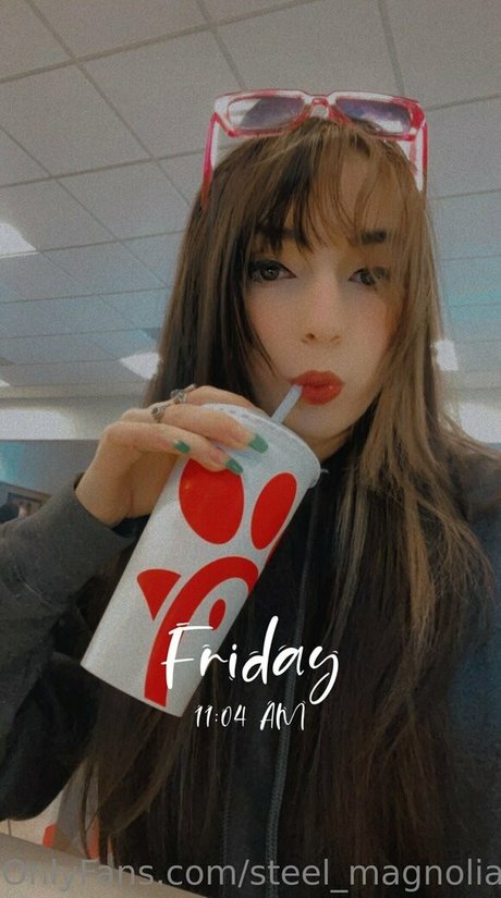 steel magnoliaas star top image