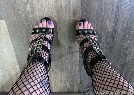 freydacoxx model perfect img