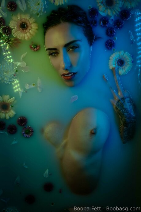 Boobasg pornstar adult archive