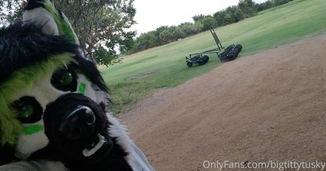 bigtittytusky free model galleries