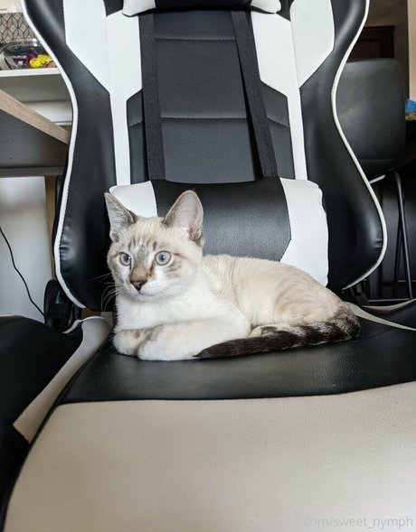 sweet nymph art model images