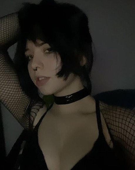 Notebookpapr model exclusive images