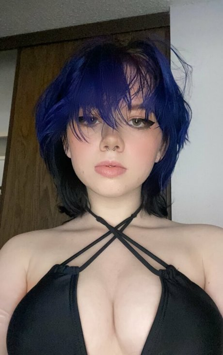 Notebookpapr best model photos