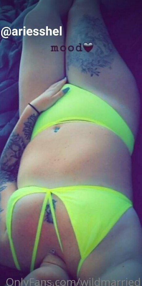 wildmarried hd star archive