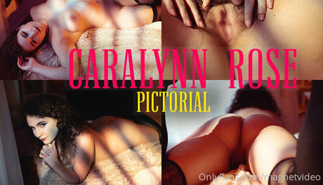 magnetvideo star high quality archive