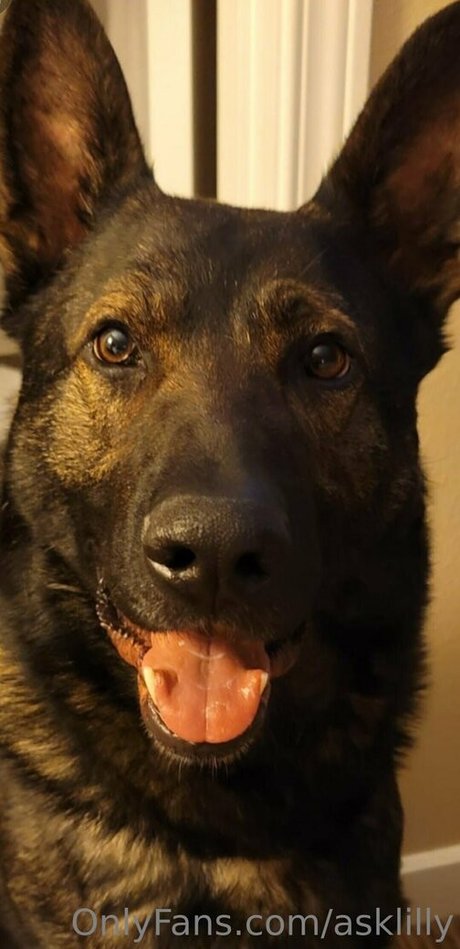 asklilly beautiful model pic