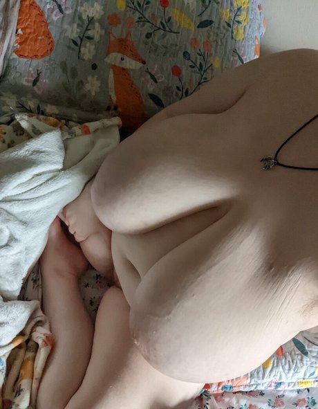 perkyfox star top archive