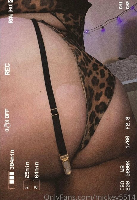 mickey55 model top picture