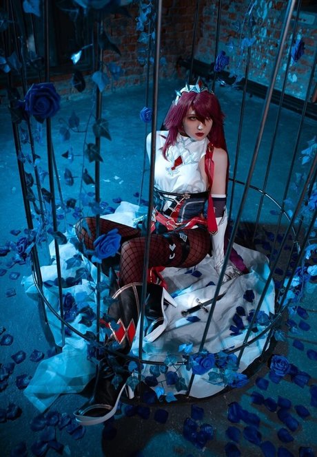 Erodaicon high quality star pictures