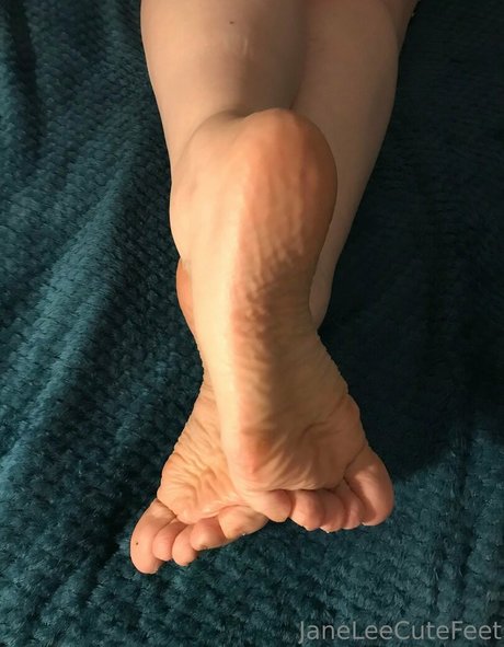 janeleecutefeet pornstar top image