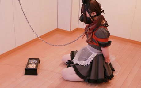 Dlemon high quality star pic