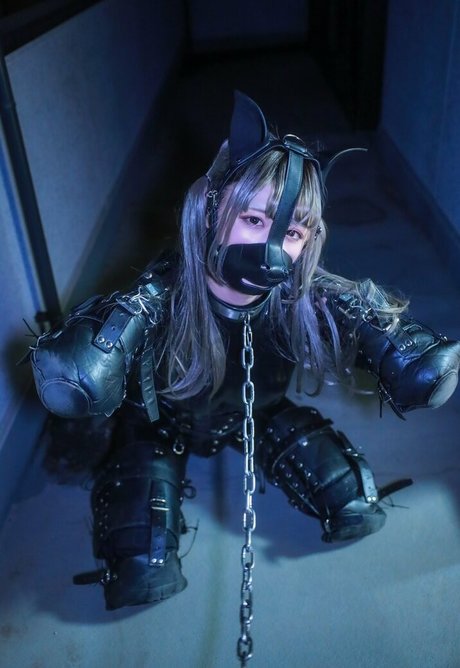 Dlemon model pretty archive