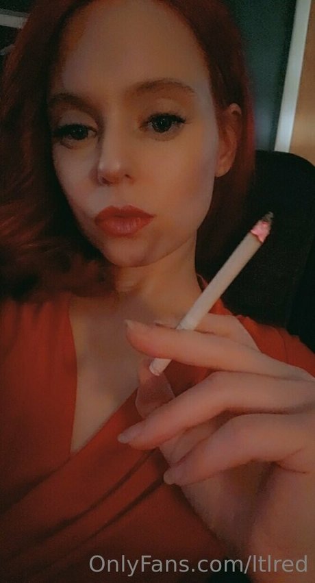 ltlred star high quality gallery