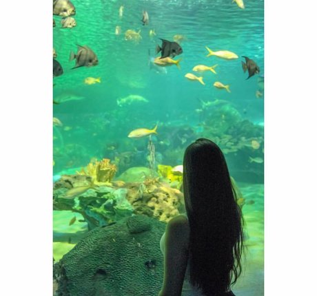 Reema Rochelle xxx actress gallery