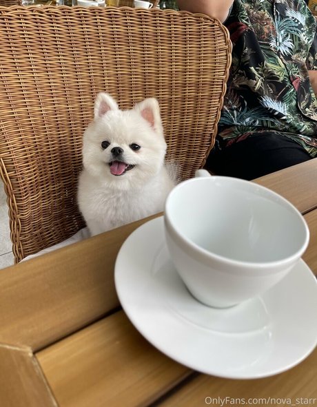 nova starr perfect actress galleries