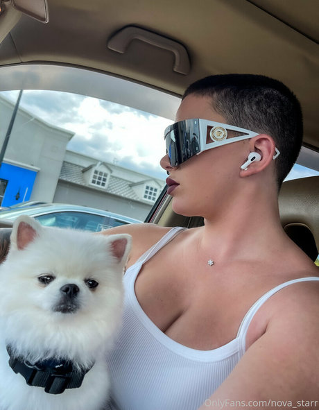 nova starr pornstar nude img