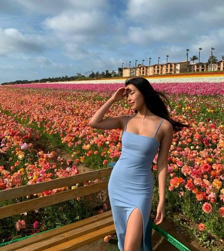 Marissa Ren pornstar hd gallery