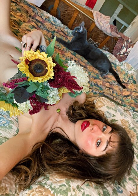 gigi belle pornographic actress img