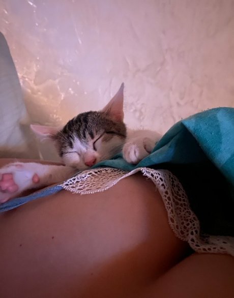 Sofuckingood13 hd actress archive