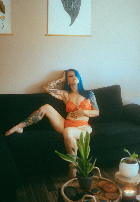 mscooky pornstar top archive