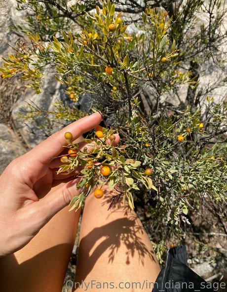 im diana sage model nice picture