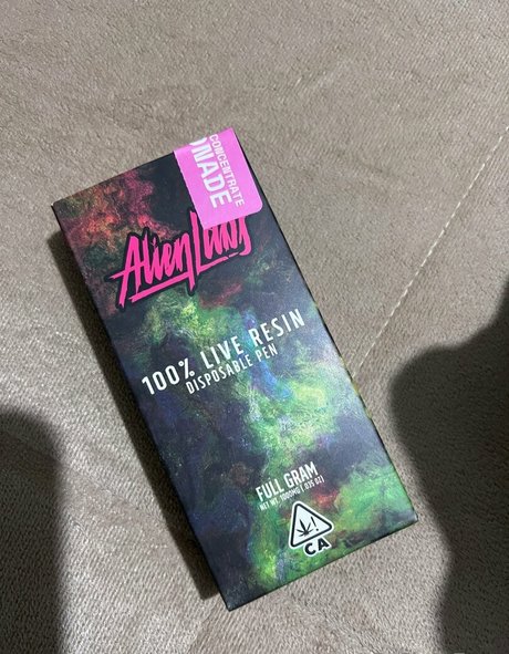 lakettebarraza star adult gallery