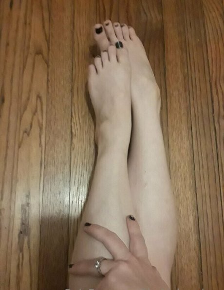 thekinkyzebra top pornstar images