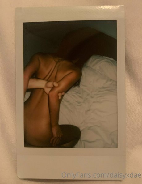 daisyxdae pornstar high quality picture