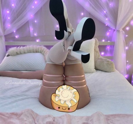 annabellexbunny hot star image