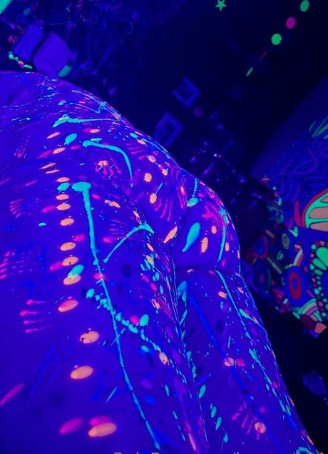 kaycee 44 perfect star archive