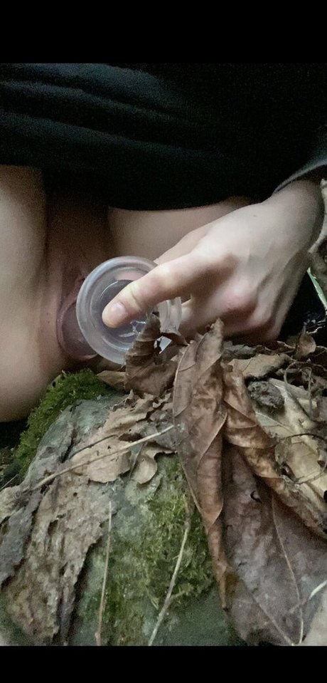 ciciastral star art images