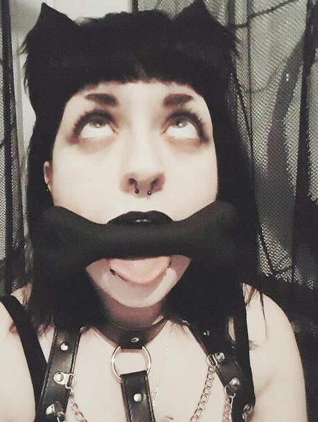 grimspectral Profile pic