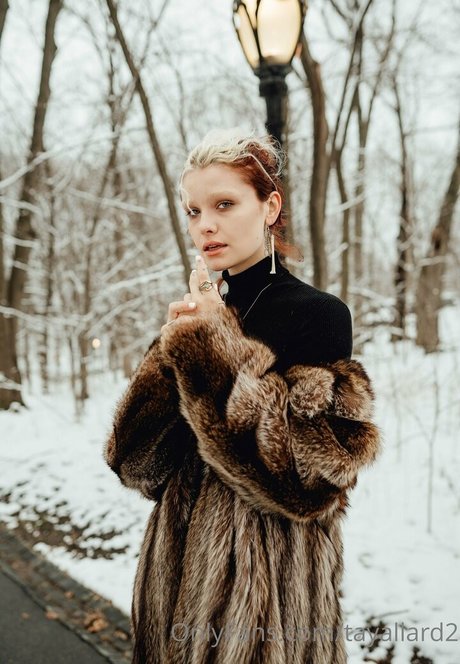 tayallard2 high quality actress image