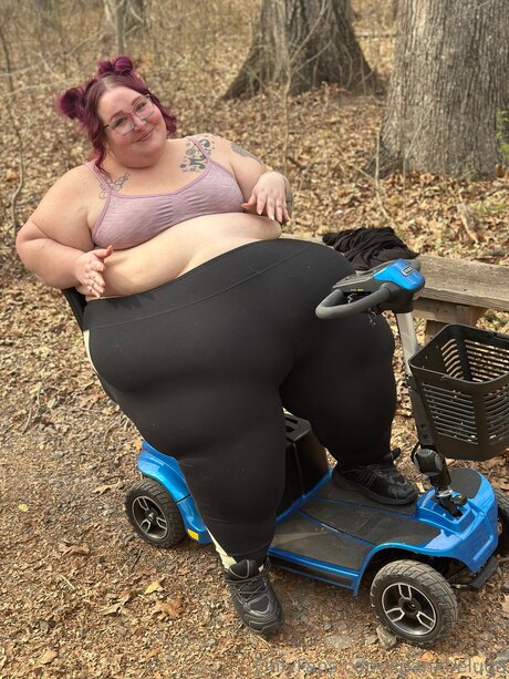 spanxbeluga high quality star photo