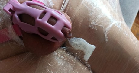 nia fox hd star gallery