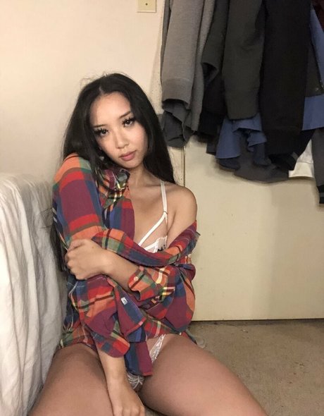 woxbox model nice image