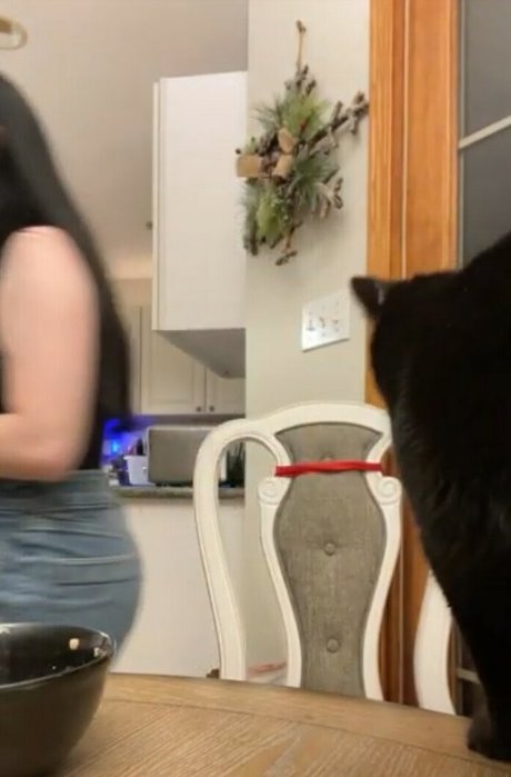 Awakeproductions naked star photos