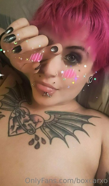 Boxcarxo Profile pic