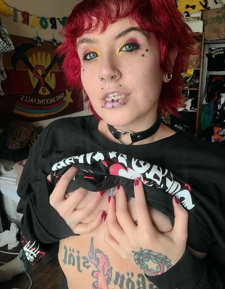 Boxcarxo star hd pic