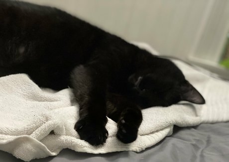 milf pussy onlyfans exclusive pic