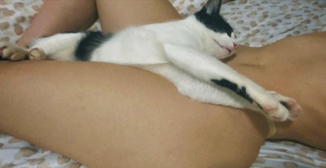 signorinabella perfect pornstar pic