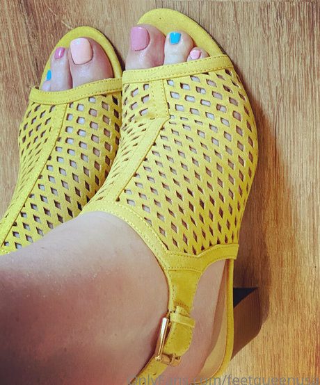 clovers photos star hd picture