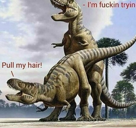 snovixen pornstar perfect images