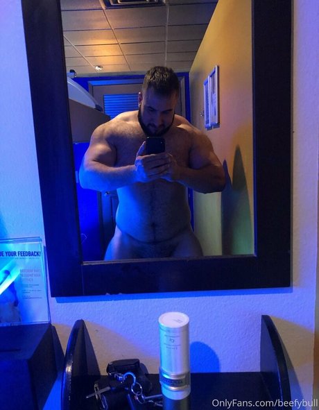 beefybull star beautiful archive