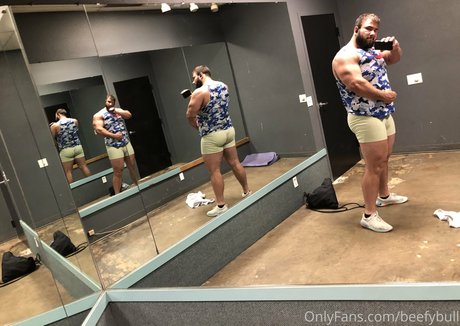 beefybull high quality star pic