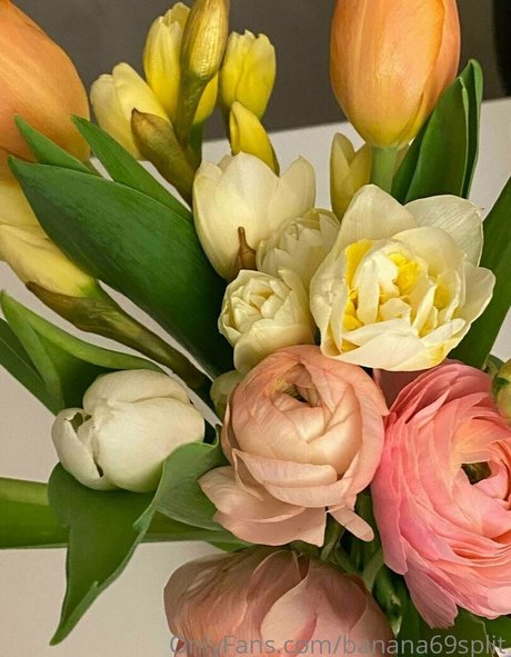 sexy blowjob onlyfans beautiful porn image