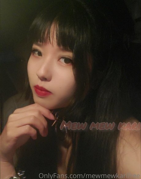 mewmewkarifree pornstar sexy pics