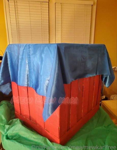 mewmewkarifree model pretty gallery